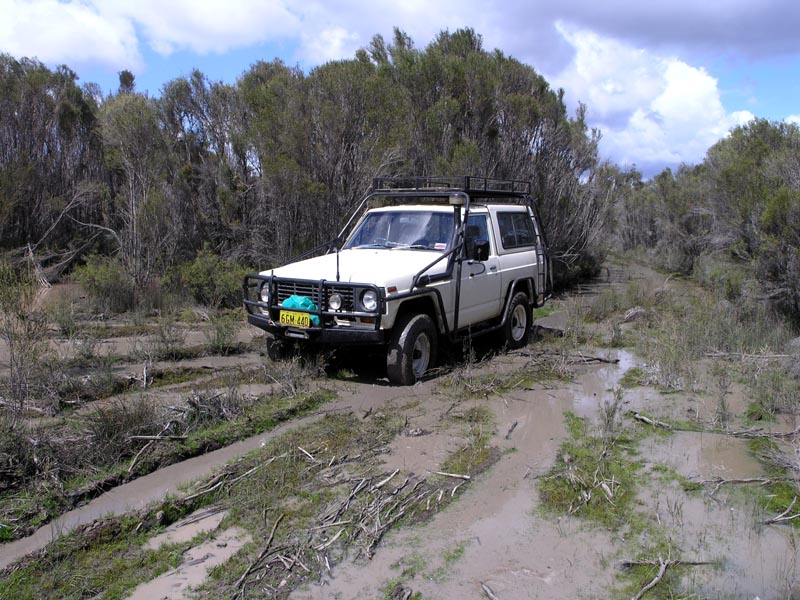 mud2.jpg