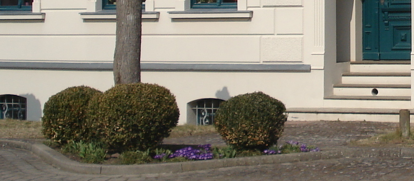 dsc01725-0018fu7l.jpg