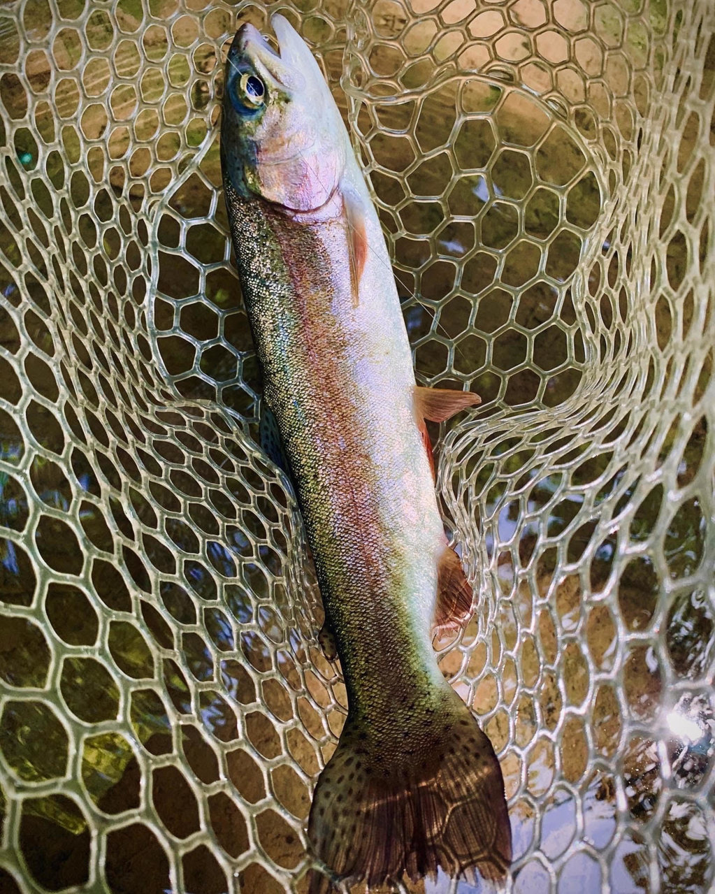 unnamed (4) - Copy.jpg