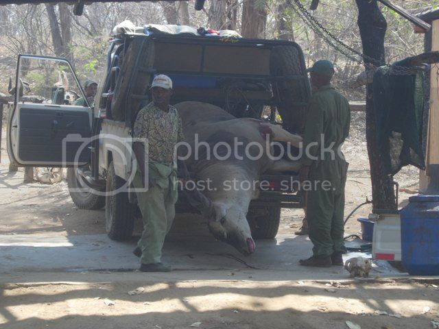 Zimbabwe%202010%20031_zpswatwtldw.jpg