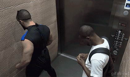 qi3ZN6P.gif