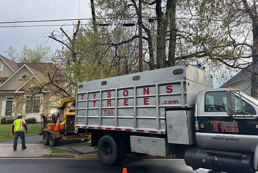 tysonstree.com