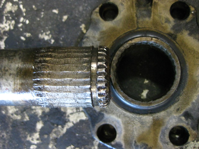 7907346886_4caaf1331d_z.jpg
