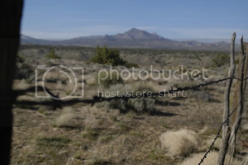 DSC_0356.jpg
