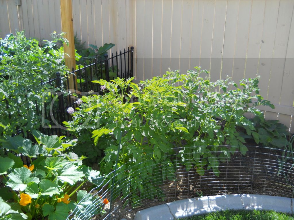 DSCN0365.jpg