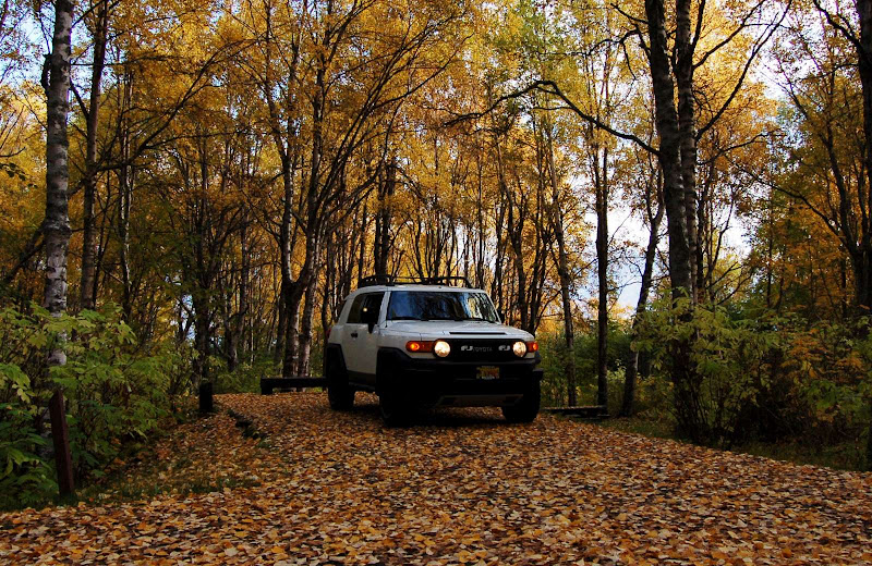 Fall_14-1600.jpg