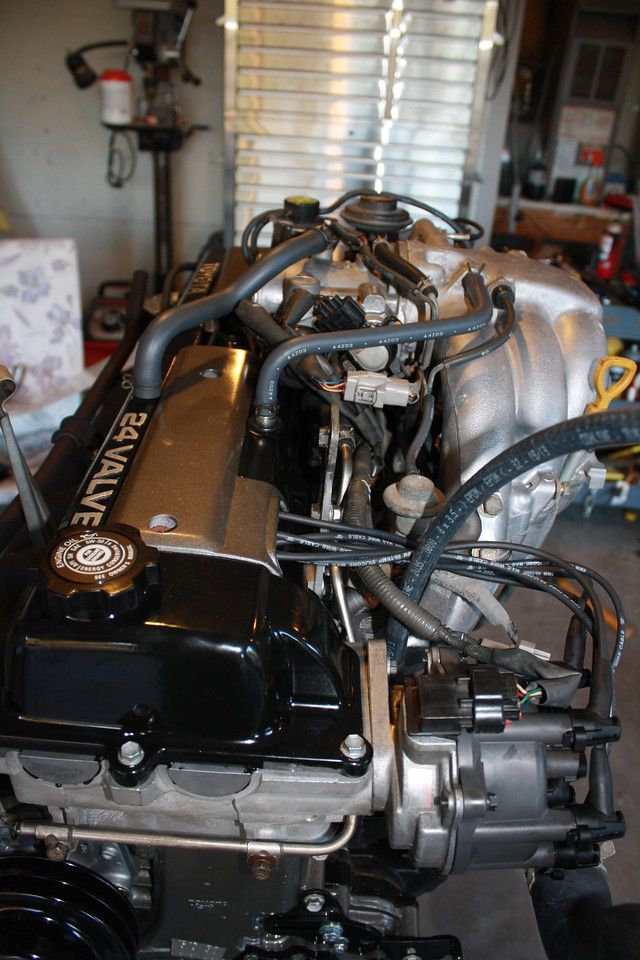 IMG_6161-X2.jpg