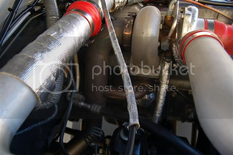 DSC_0024.jpg