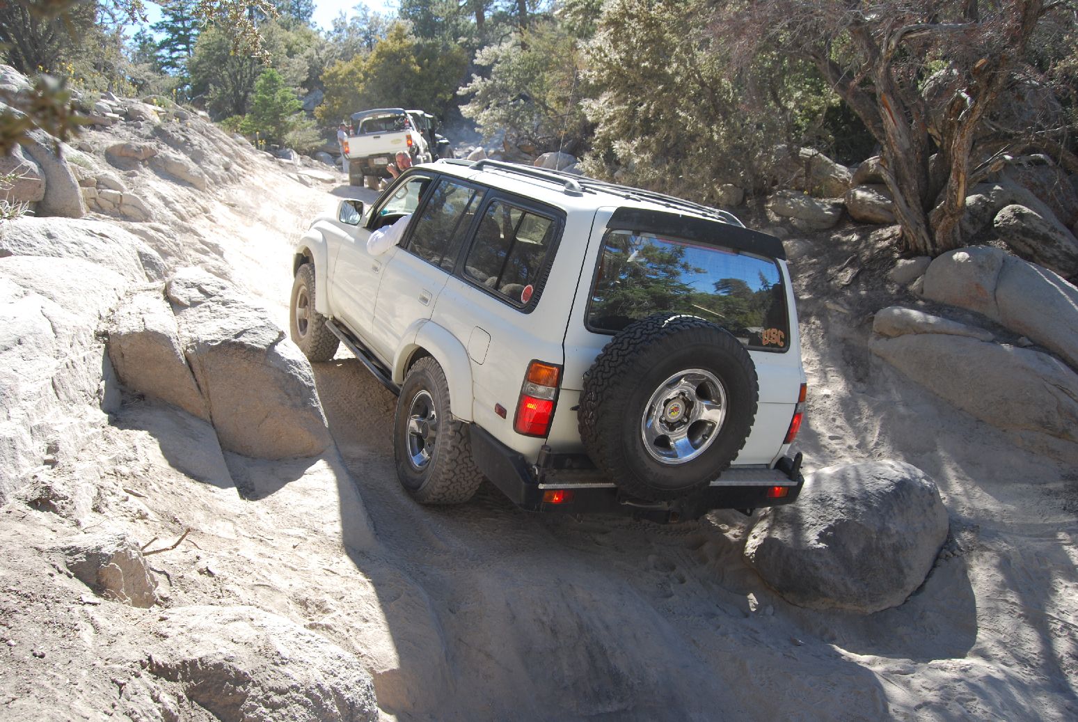BigBear756.jpg