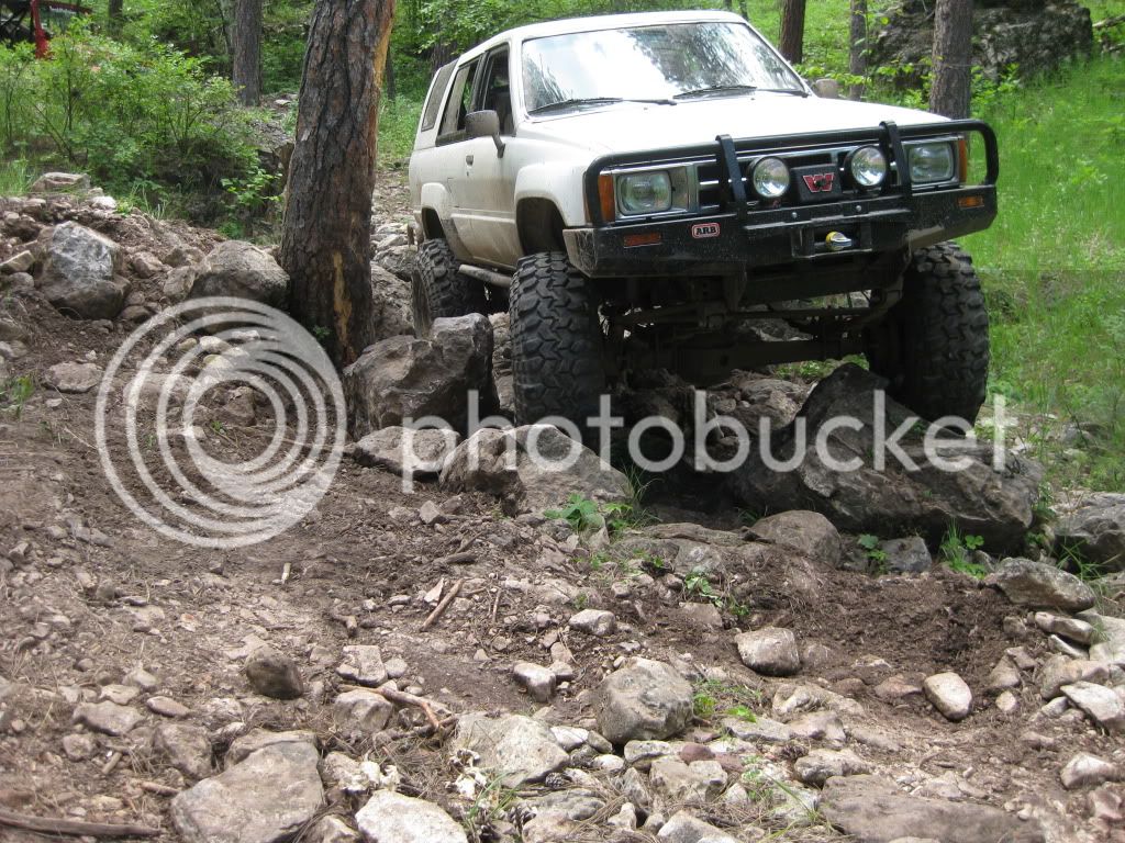 IMG_1251.jpg