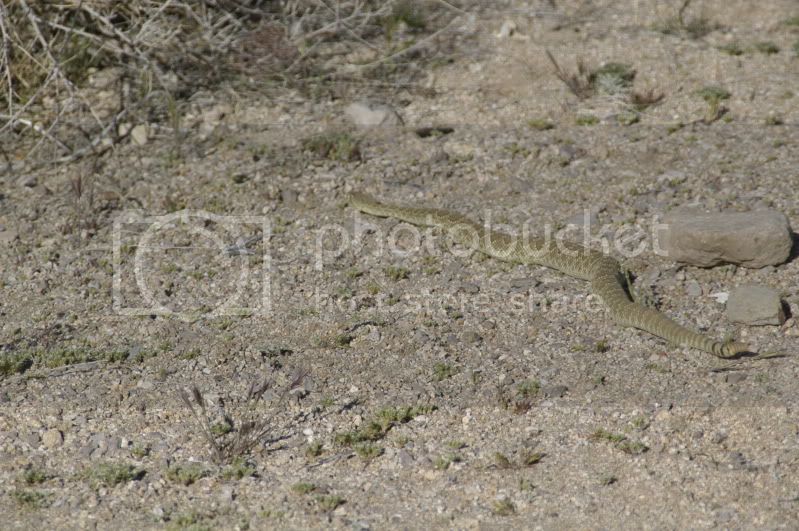 DSC_0351.jpg