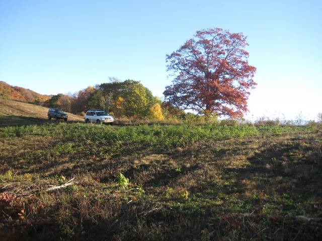 October07100.jpg