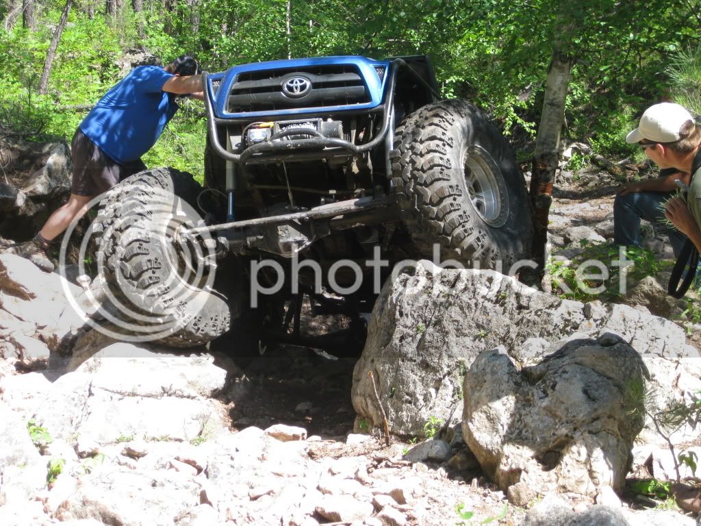 IMG_1231.jpg