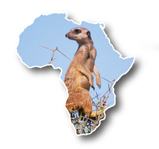 www.wildlifephotographyafrica.com