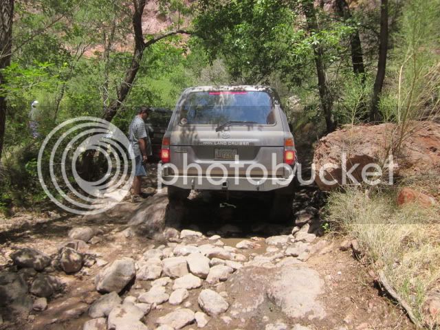 IMG_0719.jpg
