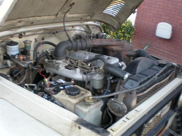 P1080010.jpg