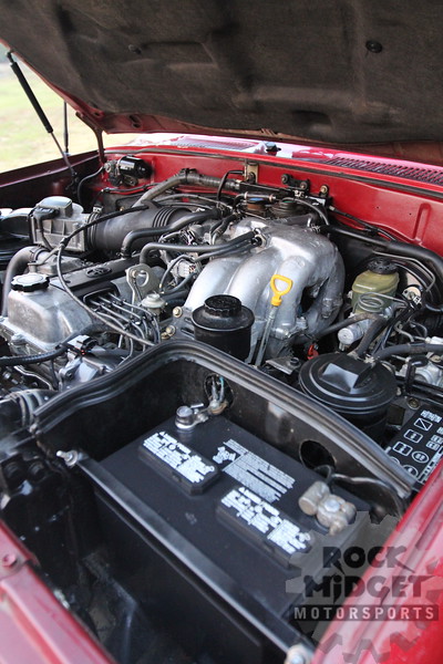IMG2509-L.jpg