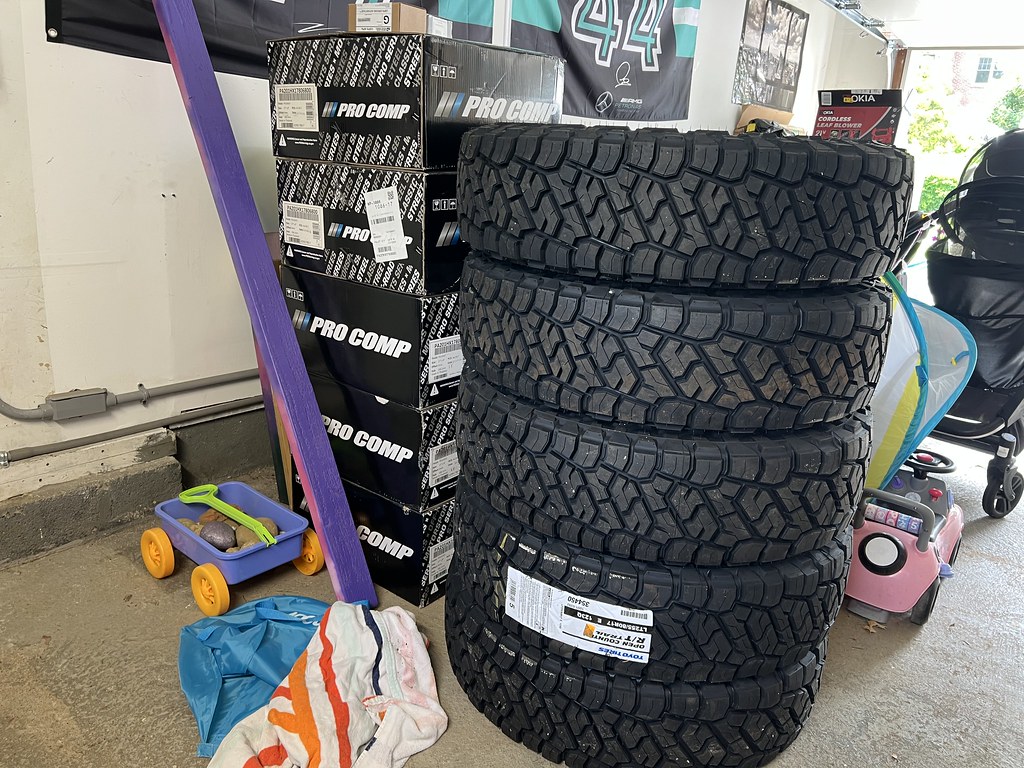 54591636774_7d30726bf5_b.jpg