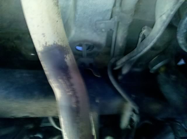 IMG_20120205_133027.jpg