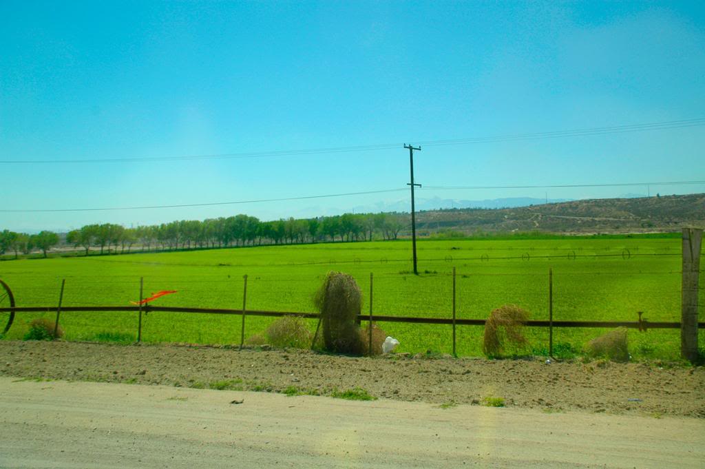 DSC_0439.jpg