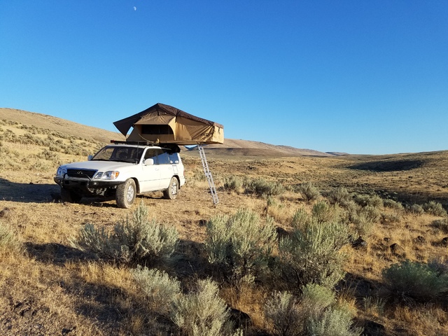 20160812-194759-zps4j3iva0d.jpg