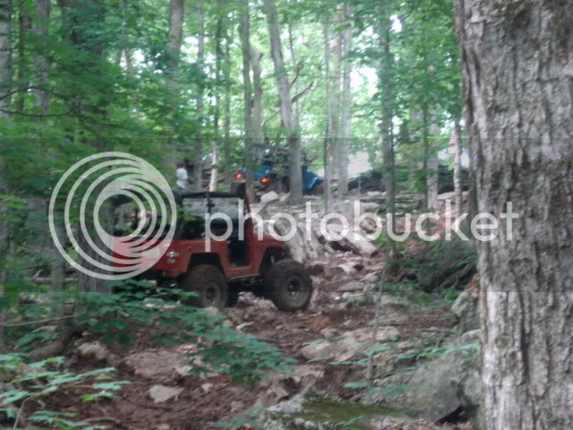 DSC07434.jpg