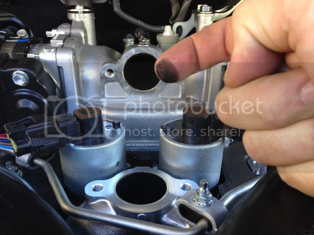 EGR7_zpsd65ae038.jpg