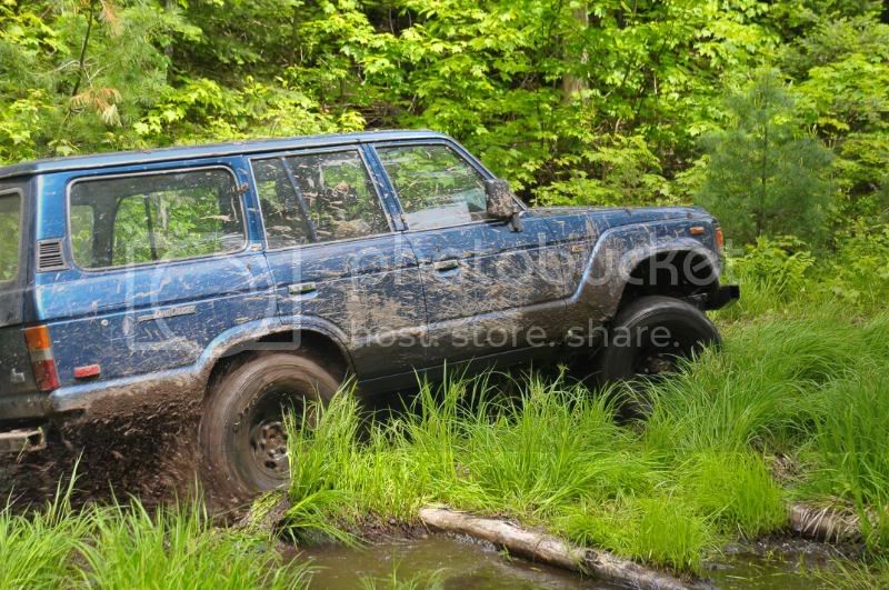 DSC_5348.jpg