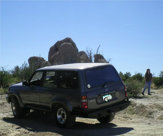 SANY0203.jpg