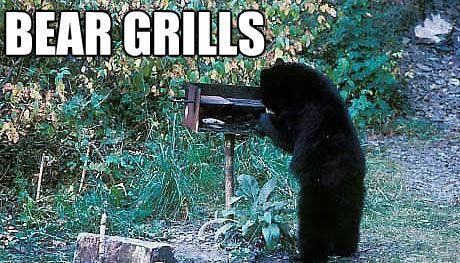 funny-bear-grills.jpg