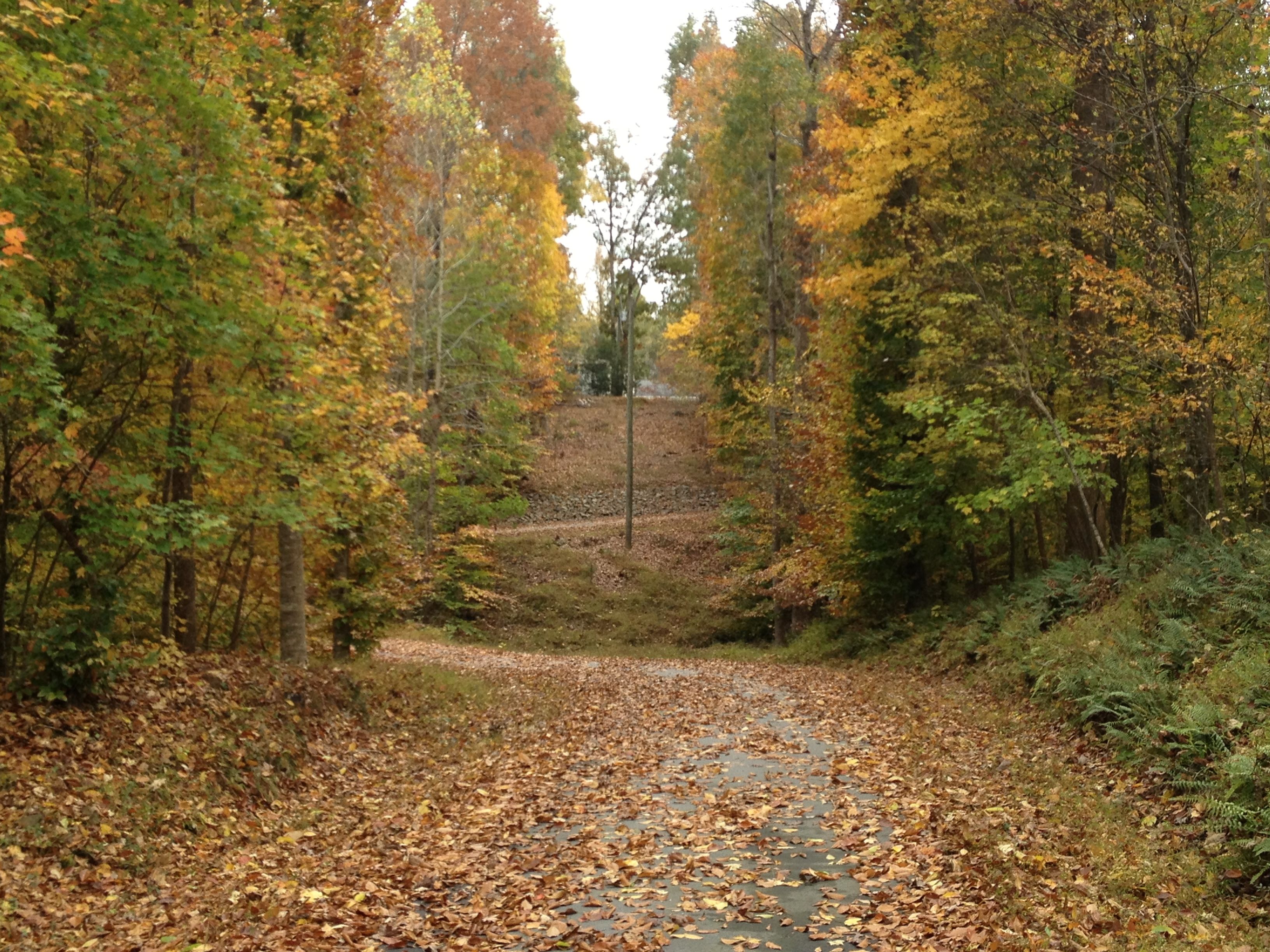 driveway.jpg