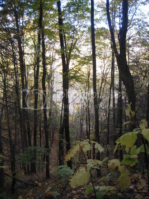 October07023.jpg
