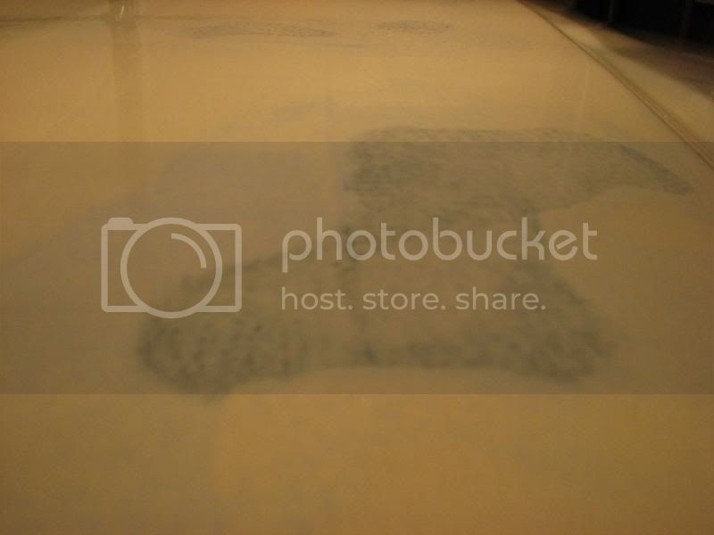 IMG_1026.jpg
