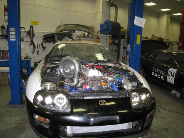 supra_3.jpg