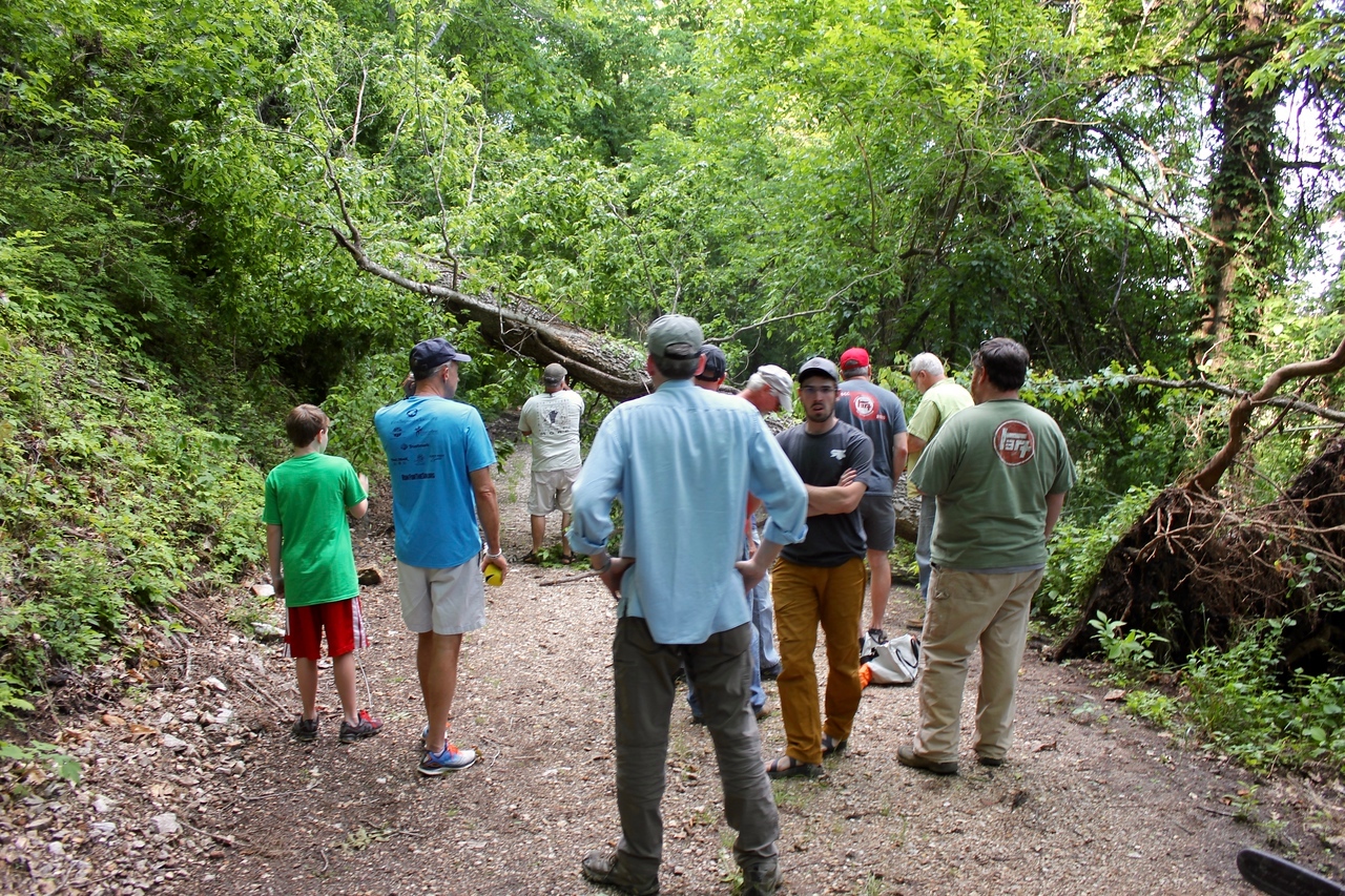 IMG_6812-X2.jpg