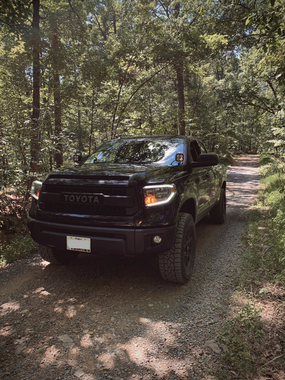 unnamed (3) - Copy.jpg