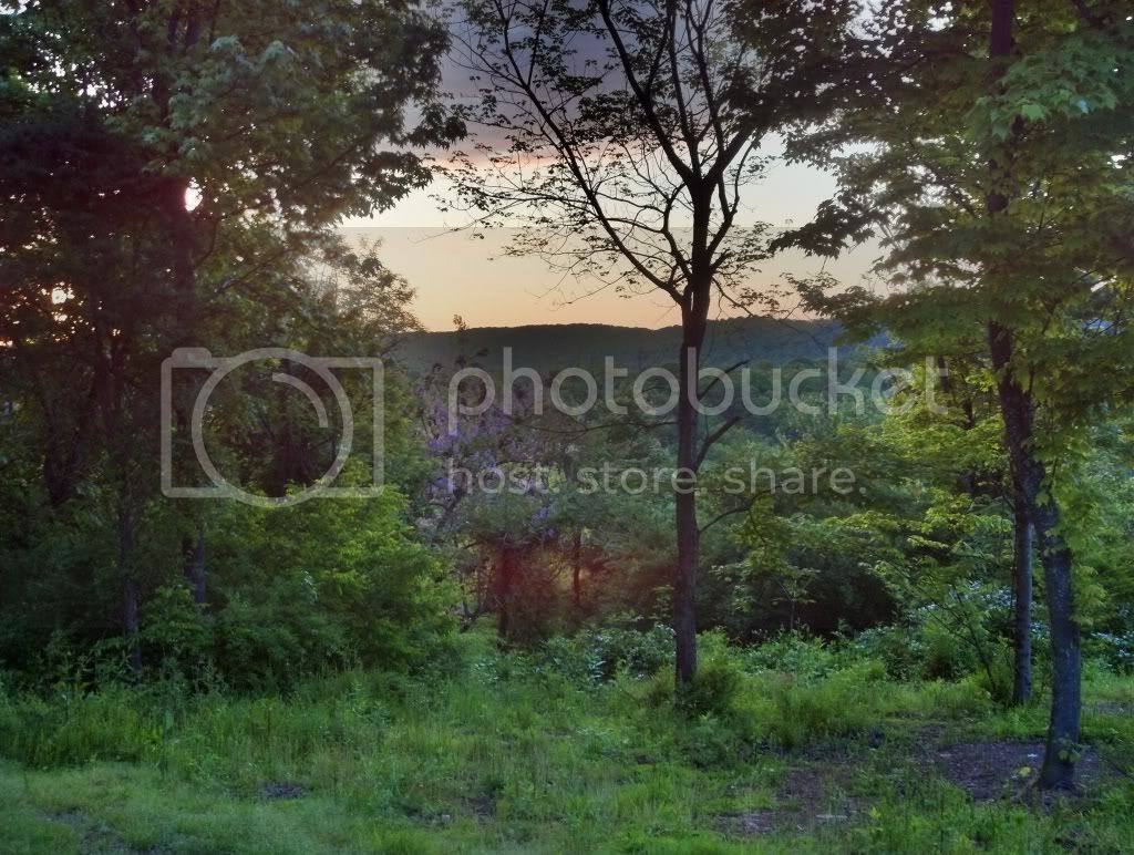 hdr_00016_0_zpscee15697.jpg