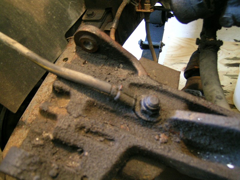 DSCN3600-vi.jpg