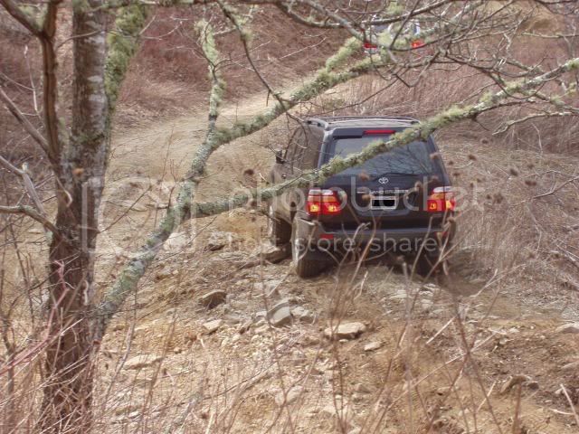 March06109.jpg