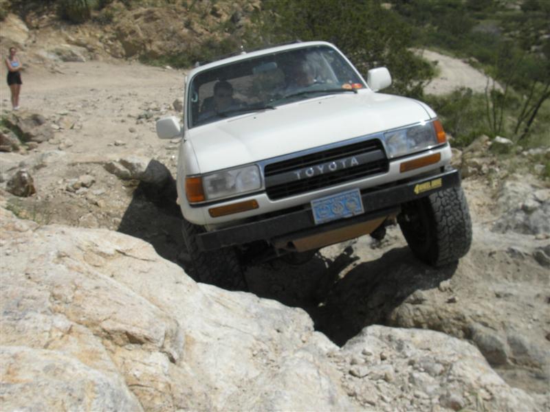 34779696-L.jpg