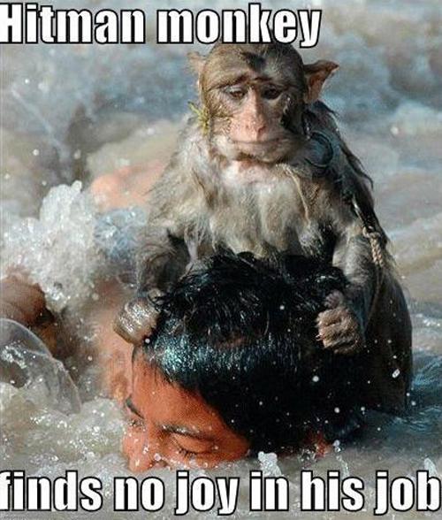 hitman-monkey.jpg