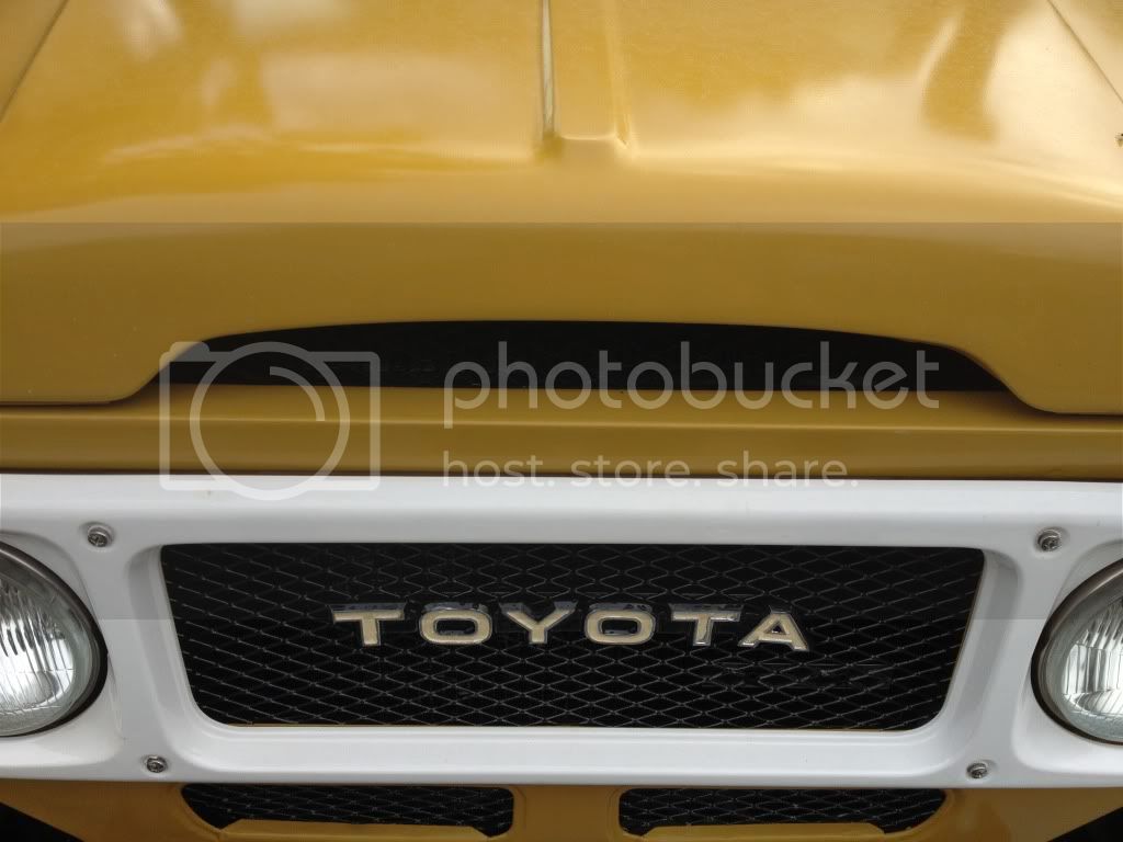 49172519.jpg