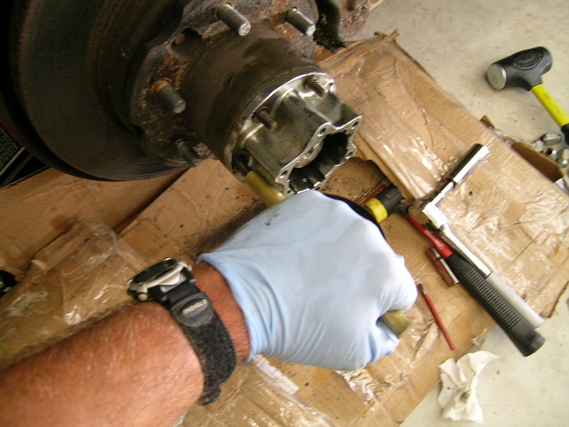 DSCN3714-vi.jpg