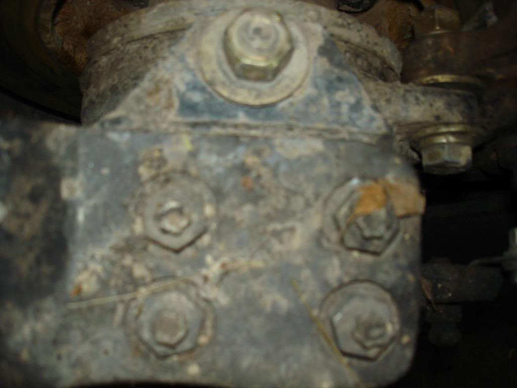 DSC01964.jpg