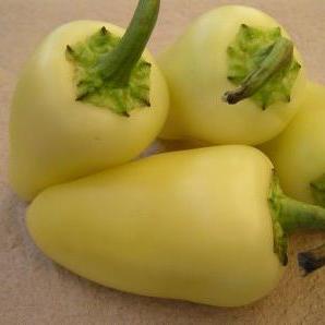 390651_110410193136_Buenos_Caribe_Chilli_Pepper2.JPG