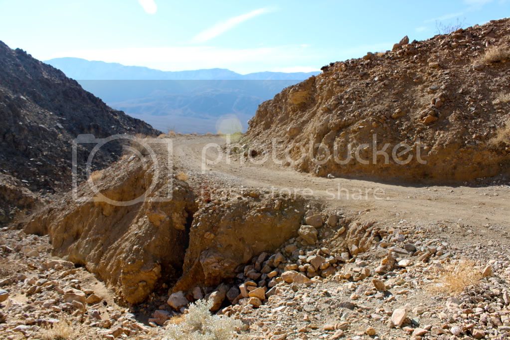 IMG_7466.jpg