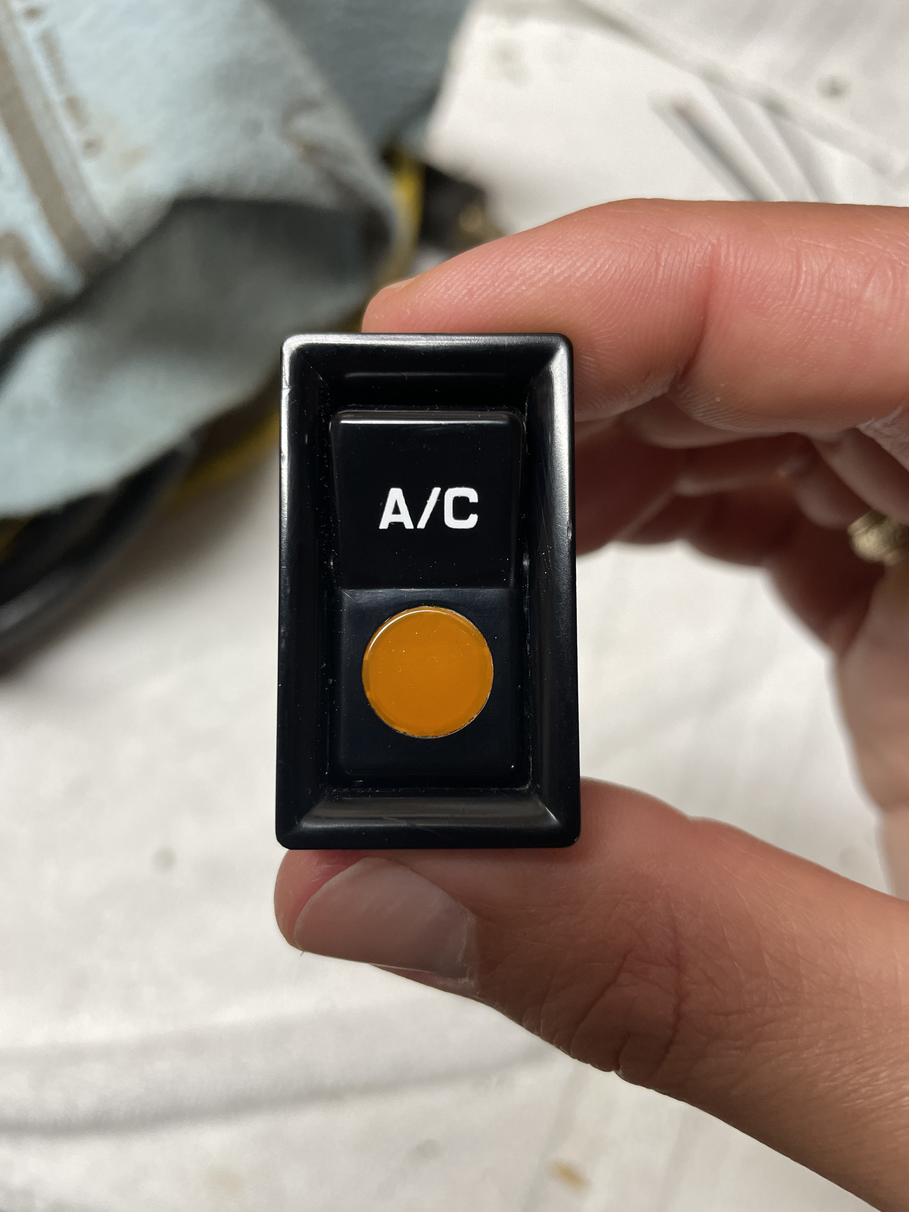 1-D80-ACE7-C5-A9-42-AE-B359-F8-E0317487-C0.jpg