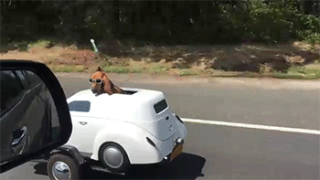 iNs0aVA.gif