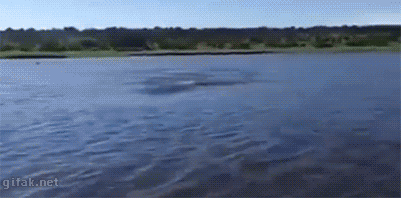 lY7T734.gif