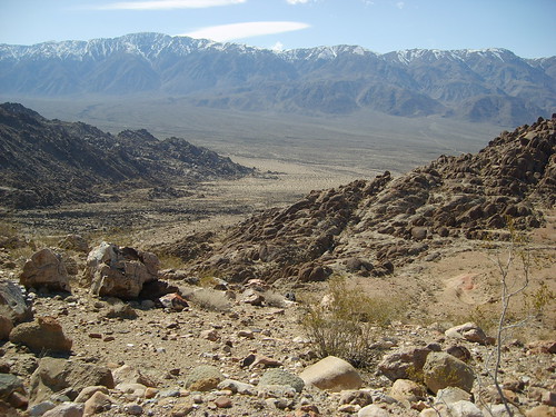 4453739448_ab49083181.jpg